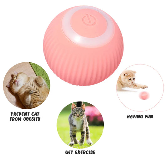 PawsParadize™ Smart Cat Electric Ball